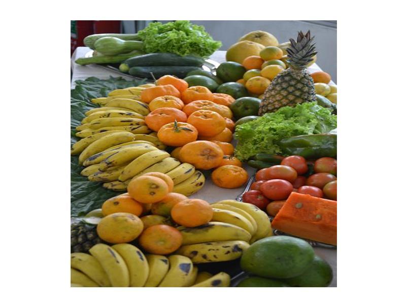 O Banco de Alimentos no Mercado Produtor da Ceasa-RJ, foi inaugurado em Nova Friburgo hoje pela manhã O Banco de Alimentos no Mercado Produtor da Ceasa-RJ, foi inaugurado em Nova Friburgo hoje pela manhã