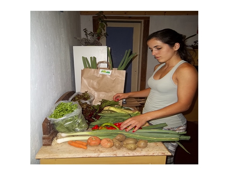 Nova Friburgo é um dos principais produtores de alimentos orgânicos da região Serrana. Eles conquistam cada vez mais espaço entre consumidores em busca de um estilo de vida mais saudável. Nova Friburgo é um dos principais produtores de alimentos orgânicos da região Serrana. Eles conquistam cada vez mais espaço entre consumidores em busca de um estilo de vida mais saudável.