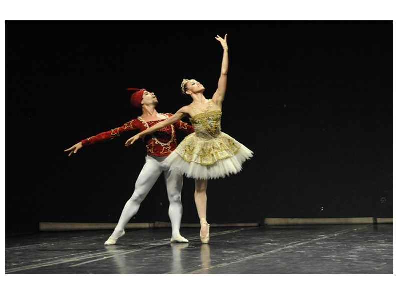 Os amantes de dança e arte não podem perder o Encontro Sesc de Dança de Nova Friburgo Os amantes de dança e arte não podem perder o Encontro Sesc de Dança de Nova Friburgo