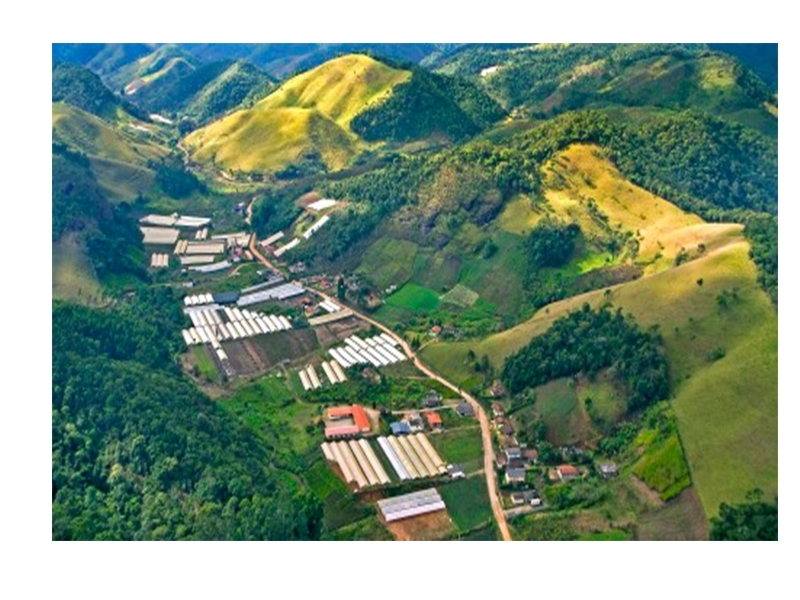 Inpi concede registro a produtores de flores em Nova Friburgo