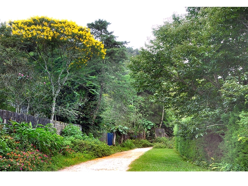 Antiga linha do trem: um convite a caminhadas e a contemplação da natureza em Mury. Antiga linha do trem: um convite a caminhadas e a contemplação da natureza em Mury.