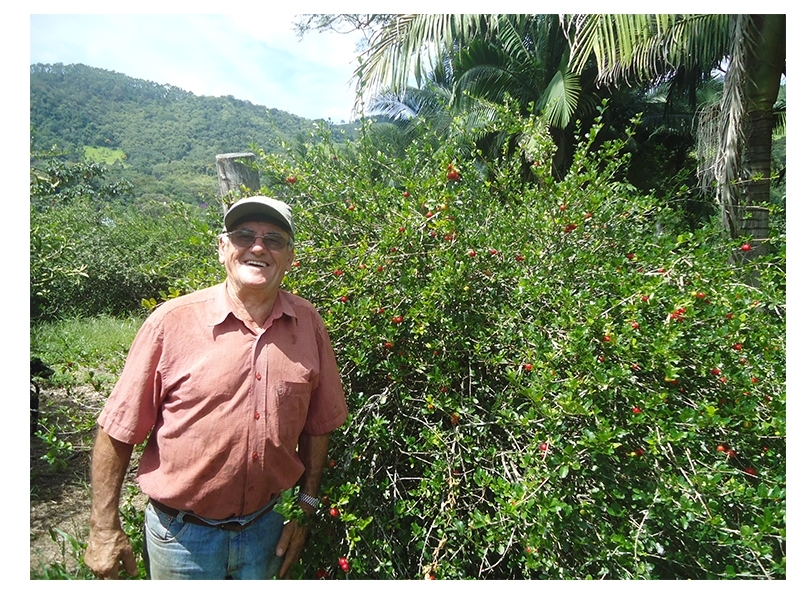 Projeto inovador de pesquisa vai expandir a fruticultura na região Serrana Projeto inovador de pesquisa vai expandir a fruticultura na região Serrana