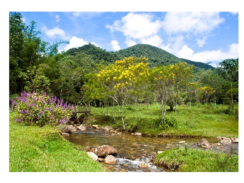 Rio Bonito de Lumiar: um tesouro de Nova Friburgo emoldurado pela Mata Atlântica, você conhece? Rio Bonito de Lumiar: um tesouro de Nova Friburgo emoldurado pela Mata Atlântica, você conhece?